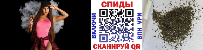 мега ТОР Элиста БУТИРАТ 1.4BDO