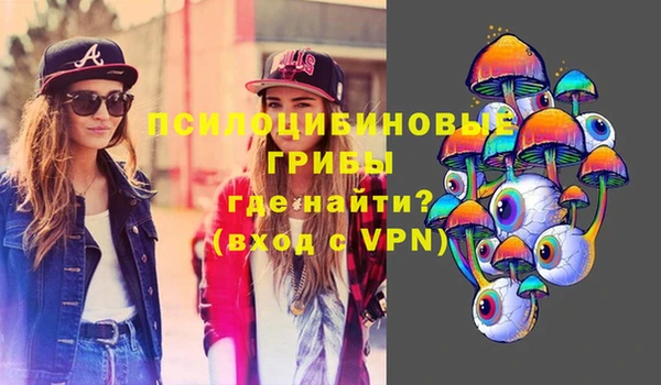 PSILOCYBIN Абдулино