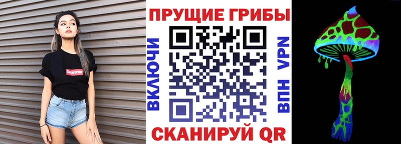 Галлюциногенные грибы мицелий  omg рабочий сайт  Элиста 